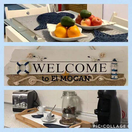 In Arona 팔름-마르